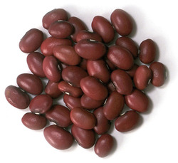 Manufacturers Exporters and Wholesale Suppliers of Bean Pulse Coimbatore Tamil Nadu